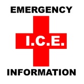 ICE Logo