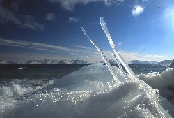 JW0PK 2001 – Ghiaccio sulla riva controluce: è la foto usata sul fronte della QSL.